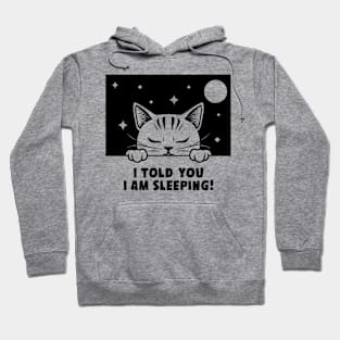 Sleeping Dreaming Cat, Cat Nap Hoodie